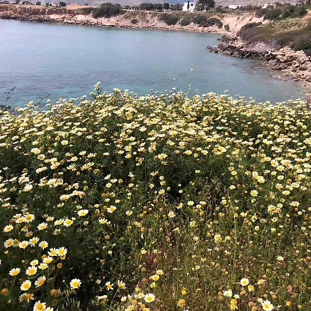 Vilă Aegean View Lindos-pefkoi